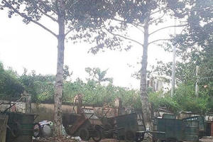 Cần Thơ: Đường phố thành bãi tập kết rác thải