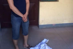 Bắt quả tang xe Kia Morning vận chuyển 15 khúc gỗ sưa