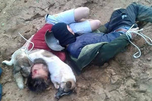 Trộm chó dùng súng bắn người truy đuổi: Xử lý tội giết người? Trộm chó dùng súng bắn người truy đuổi: Xử lý tội giết người?