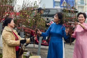 Nhiều tuyến đường Hà Nội đã rộn ràng sắc xuân