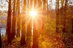 Mùa thu đến khắp thế giới