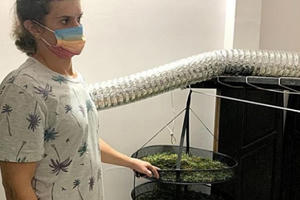 Bình Thuận: Trồng cần sa trong nhà thuê, người đàn ông quốc tịch Nga bị bắt giữ