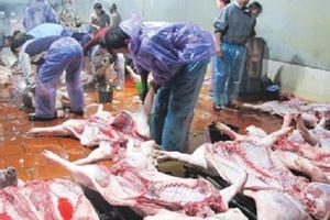 Thực phẩm bẩn dồn người tiêu dùng vào chân tường