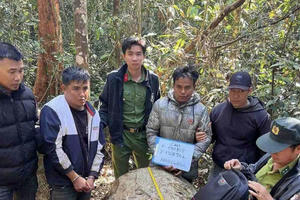 Phát hiện nhóm khai thác gỗ dổi trái phép tại khu vực thủy điện Đồng Nai 4