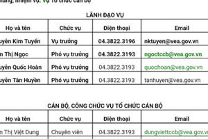 Bộ máy cồng kềnh của Tổng cục Môi trường