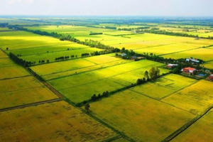 Chính phủ đề xuất miễn khoảng 7.500 tỷ đồng/năm thuế đất sử dụng đất nông nghiệp