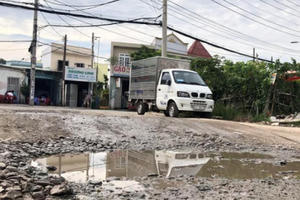 Khốn khổ với con đường voi lót ổ