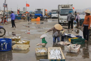 Đà Nẵng thông tin về trường hợp các ca bệnh nhiễm COVID-19