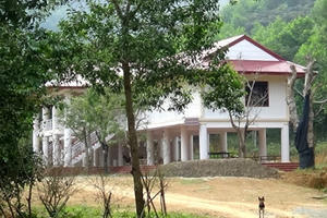 Địa ốc 7AM: Đất đình làng bị phân lô bán nền, xây biệt thự trong rừng cho… công nhân?