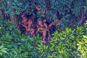 Hình ảnh bộ lạc sống biệt lập trong rừng Amazon