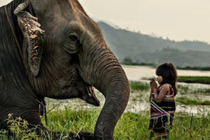 Đăk Lăk vùng đất huyền thoại truyền đời của voi và các lễ hội