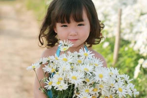 Chùm ảnh: Em bé đẹp như thiên thần bên những cánh hoa cúc họa mi cuối mùa