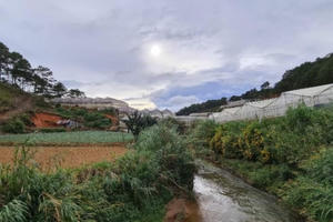 3 người trong một nhà đi kích cá bị điện giật tử vong