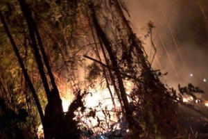 Nắng nóng đỉnh điểm, rừng trồng ở Nghệ An bốc cháy trong đêm