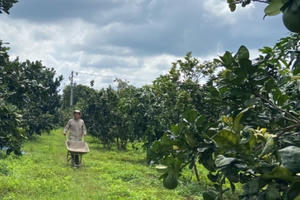 Đồng Nai: Huyện Cẩm Mỹ đặc biệt quan tâm đến an sinh xã hội