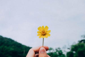 Hạnh phúc giản đơn