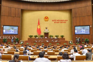 Lời xin lỗi quý hiếm