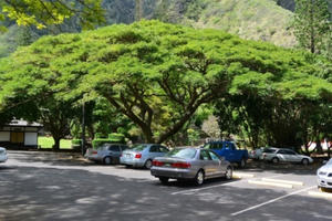 Nắng nóng đỉnh điểm, làm gì để ô tô của bạn không như cái lò thiêu