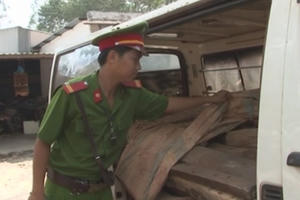 Phát hiện và thu giữ hơn 4 tấn gỗ trắc vận chuyển trái phép tại Bình Dương