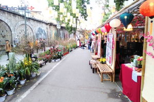 Hà Nội tổ chức các chợ hoa xuân phục vụ Tết Nguyên đán Bính Ngọ năm 2026