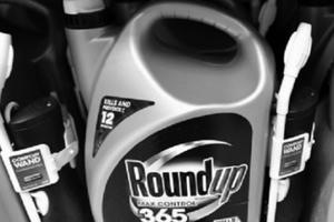 Cái giá phải trả cho công ty hóa chất tai tiếng khắp thế giới