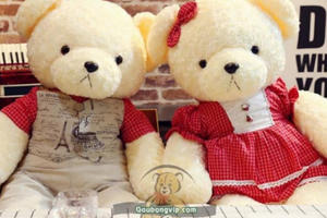 Tôi có thể nhờ pháp luật “giải tán” cuộc hôn nhân đồng giới của con gái? Tôi có thể nhờ pháp luật “giải tán” cuộc hôn nhân đồng giới của con gái?