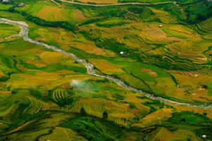 "Đốn tim" vẻ hư ảo mùa vàng ruộng bậc thang Tú Lệ