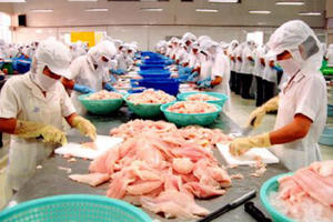 Xuất khẩu thủy sản năm 2017 dự kiến đạt 8 tỷ USD