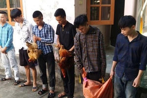 Trộm cả hòm công đức để lấy tiền chơi game