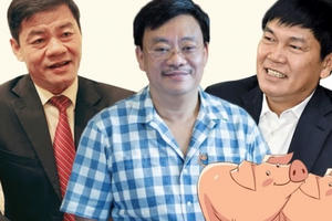 Quay về làm nông, tỷ phú USD Việt Nam mở trại nuôi lợn