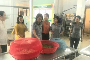 Sóc Trăng: Kiểm tra, giám sát ATTP bếp ăn tập thể tại các trường mầm non trên địa bàn