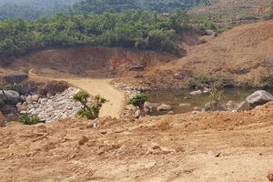 Địa ốc 7AM: Công ty Suối Đôi thi công chưa có giấy phép, lo 'vỡ trận' tại các thành phố lớn