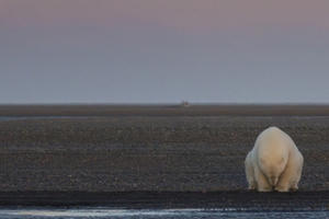 Biến đổi khí hậu và những hình ảnh gây sốc