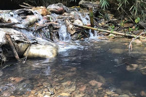 Tổng Giám đốc Viwasupco: Không có độc trong nước sạch sông Đà