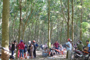 Bình Phước: Khởi tố 5 bị can vụ cắt tai cô gái nợ tiền