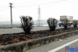 Quốc lộ 18: Nhiều km cây xanh ở dải phân cách bị cháy trụi