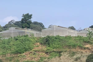 Bà Rịa - Vũng Tàu: Nhiều hộ dân khó khăn trong sản xuất vì bị cấp sai nhiều giấy chứng nhận quyền sử dụng đất Bà Rịa - Vũng Tàu: Nhiều hộ dân khó khăn trong sản xuất vì bị cấp sai nhiều giấy chứng nhận quyền sử dụng đất