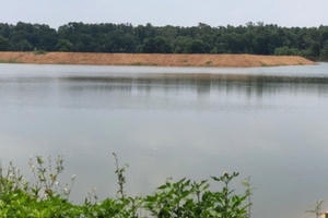 Đơn vị quản lý trực tiếp lấp hồ Đồng Mô?