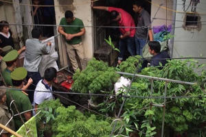 Các hộ dân 146 Quán Thánh gửi thư cảm ơn tới Pháp luật Plus