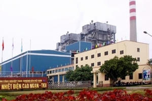 TCT Điện lực TKV niêm yết trên HNX vào 25/12