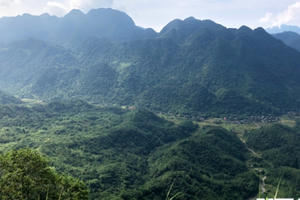 Bí ẩn ‘quái thú’ giết bò hàng loạt trong rừng Pù Luông khiến người Mường khiếp sợ