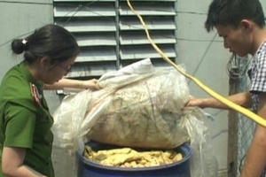 Huế: Hơn 2 tấn măng chua, chanh muối, me chua bốc mùi hôi thối “suýt” lọt ra thị trường