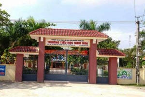 Nghệ An: Bị cô giáo đánh thâm tím người vì không làm được bài