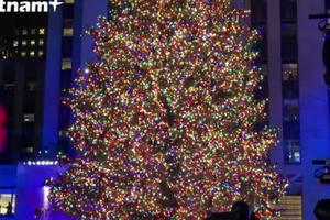Thắp sáng cây thông khổng lồ chào đón mùa Giáng sinh tại New York