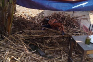 Đoạt mạng anh họ vì mâu thuẫn rồi giấu xác phi tang