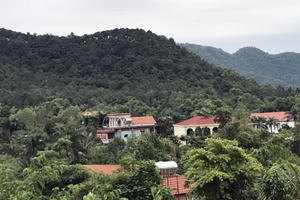 Giáo sư Đặng Hùng Võ: Thu sổ đỏ nhà ca sĩ Mỹ Linh, xử nghiêm cán bộ làm sai