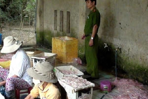 Đà Nẵng: Đình chỉ hoạt động cơ sở chế biến thực phẩm “bẩn”