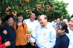 Thủ tướng Nguyễn Xuân Phúc: "Bắc Giang là một tỉnh đoàn kết, thống nhất, trên dưới một lòng" Thủ tướng Nguyễn Xuân Phúc: "Bắc Giang là một tỉnh đoàn kết, thống nhất, trên dưới một lòng"