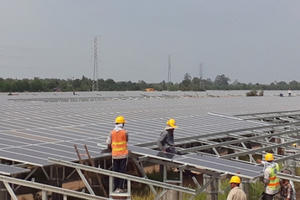 Nhà đầu tư Thái rót vốn làm điện mặt trời ở Việt Nam
