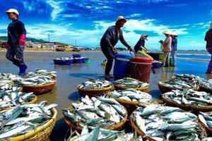 EU trả về 17 lô nông, thuỷ sản của Việt Nam